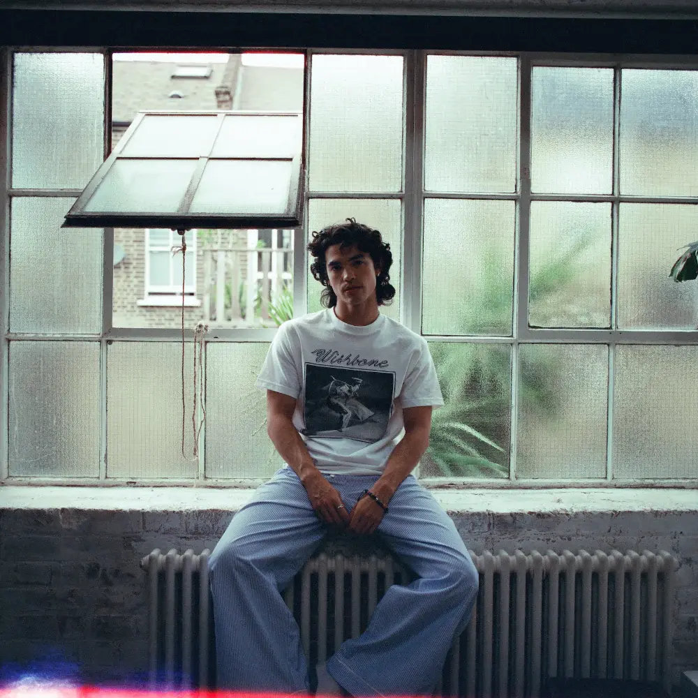 Conan Gray CONAN GRAY WISHBONE ALBUM COVER WHITE T-SHIRT T-Shirt 416976