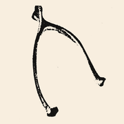 Conan Gray logo